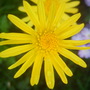 28th_april_08_276