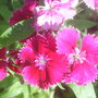 28th_april_08_287