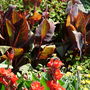 Dscn0845