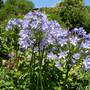 Dscn0866