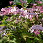Dscn0861