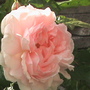 Dsc00468