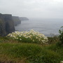 cliffs of Moher