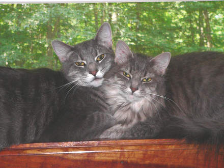 Butchy & Marti