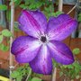 Picture_079