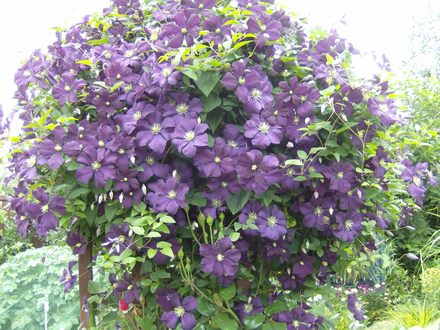 All_pictures_006.jpg