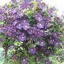 All_pictures_006
