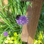 All_pictures_002