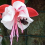 24th_june_2008_007