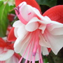 24th_june_2008_009