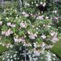 All_pictures_062.jpg