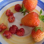 24th_june_2008_012