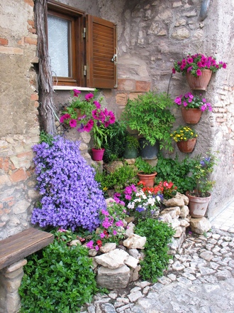 Little garden in May