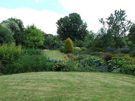 More Lollipop lawn