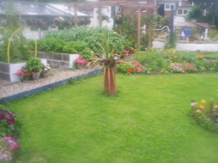 allotment lawn 