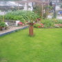 The_patch_772