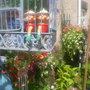 The_patch_749