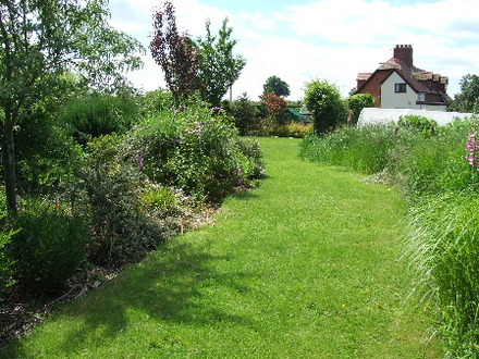 Path between the Daisy Lawn and the New Forest