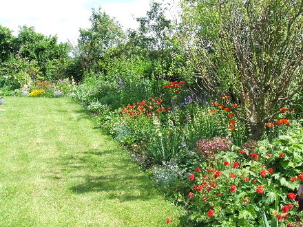 Back along the Roadside border