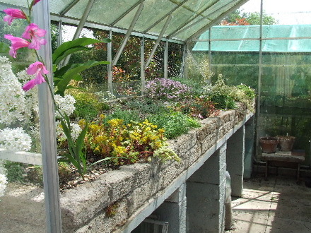 Hyper tufa bed n Alpine House