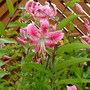 Imported_Photos_00080.jpg
