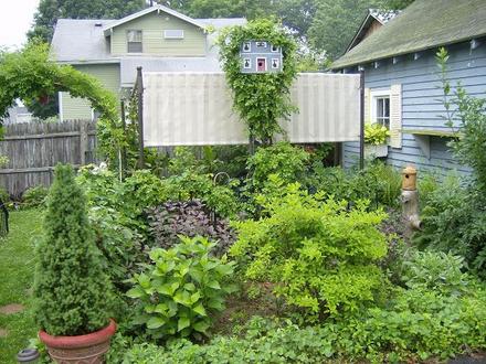 Back Garden