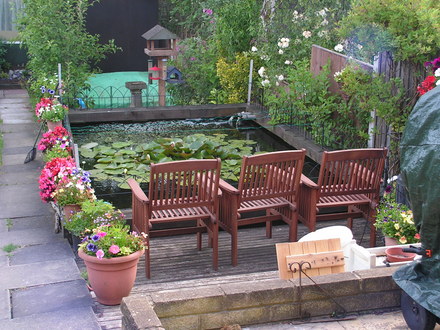 the right side of my garden