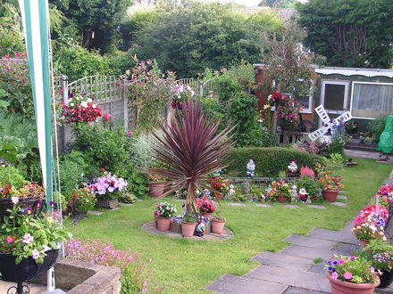 the left side of my garden