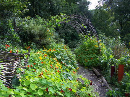 Ruskin's garden
