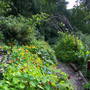 Pict0036