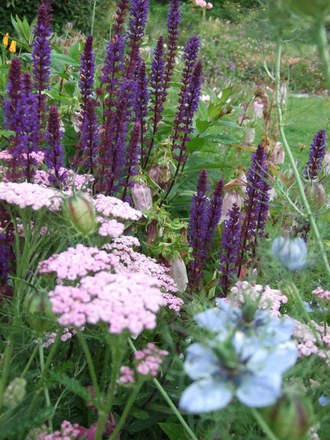 In the front flower bed.