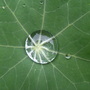 24th_june_2008_025