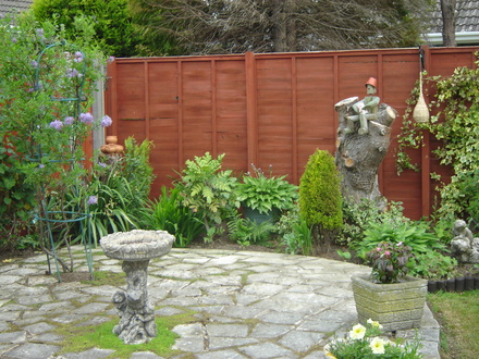 Sister-in-law's garden