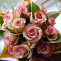Bridesmaid's rose bouquet