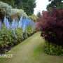 Falkland_palace_one
