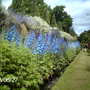 Falkland_palace_two