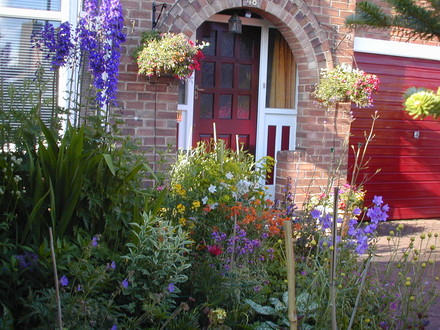 My front garden
