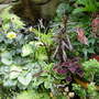 Garden_june_2008_047