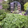 Veggardenjune08
