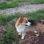 Shorty my buddy