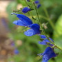 20080626_18b