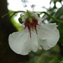 20080626_198b