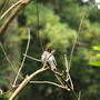 20080626_205b