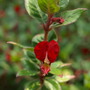 20080626_22b