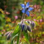 20080626_24b