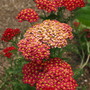 20080626_283b