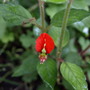 20080626_26b