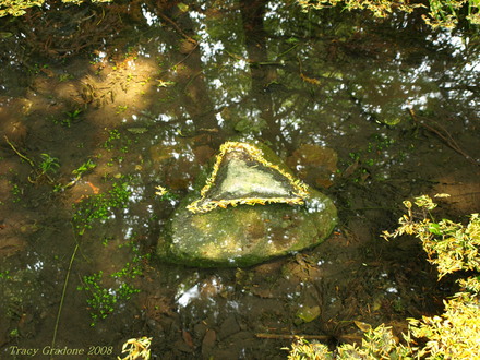 reflection