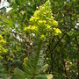 20080626_173