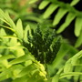 20080626_217b